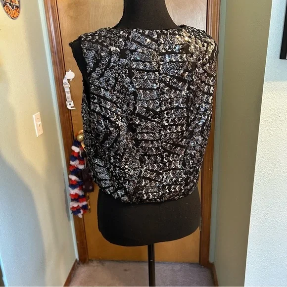 Walter Baker Jaylene Gatsby Sequin top sleeveless black and silver size L - Picture 3 of 9